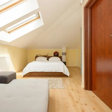 Pine House By Sea *